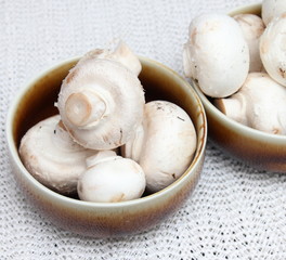 Champignons