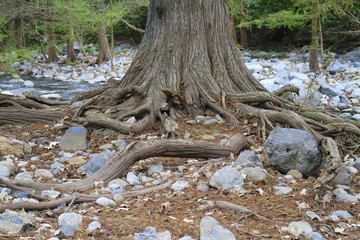 Troncones recreational area - Mexico