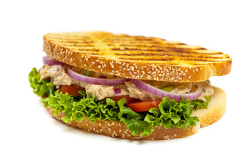 Grilled Tuna Panini Sandwich on white background