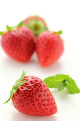 苺とミント