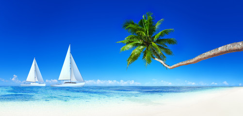 Fototapeta na wymiar Yacht Beach Blue Sky Palm Tree Leisure Concept