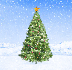 Fototapeta na wymiar Christmas Tree Snow Happiness Cheerful Concept