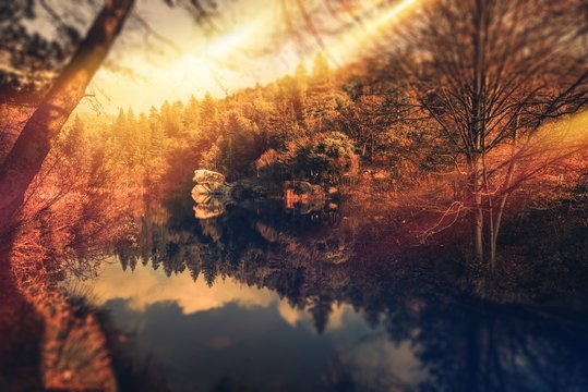 Fototapeta Scenic Park Sunset