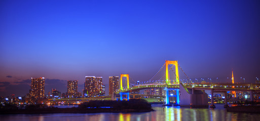 Fototapeta na wymiar Panaroma Of Illuminated Tokyo