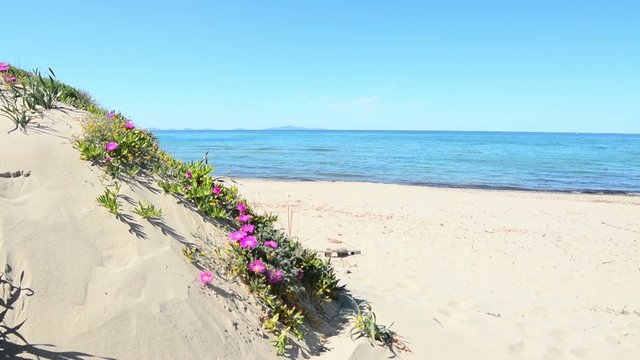 platamona shore on a clear day