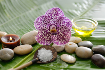 Set of purple orchid and stones on wet banana leaf