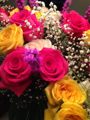Roses