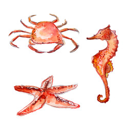 Watercolor sea creatures: crab, starfish, sea horse