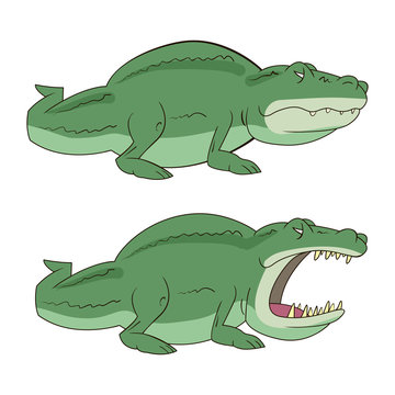 crocodile, alligator vector illustration