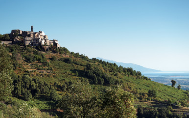 Sorbo ocagnano en haute Corse