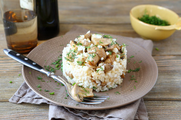 Rice with mushrooms on a plate