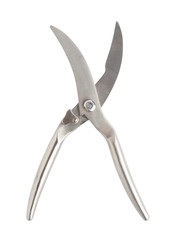 Secateurs fish metal scissors isolated