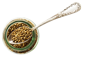 Jar of coriander seeds isolated on white