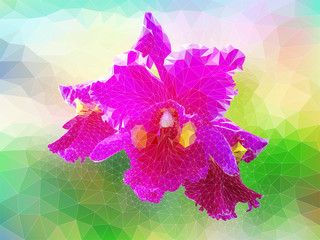 Polygon vector orchid