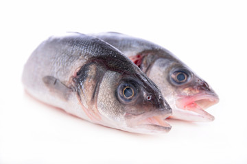 raw fish