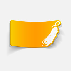 realistic design element: cucumber