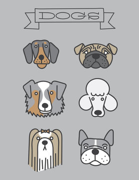 Dog faces