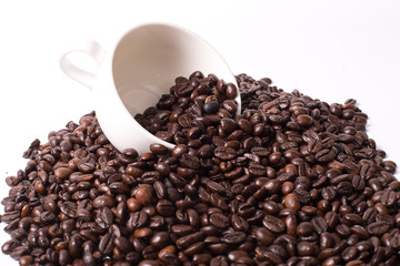 Coffee beans on white background