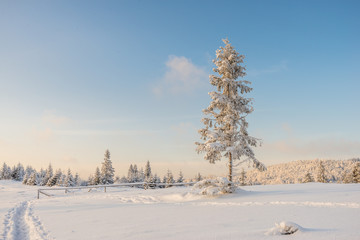 Zima © kabat