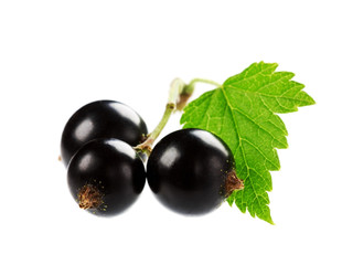 black currant with green leaf isolated on white background