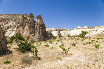 Cappadocia. Beautiful view of the Pashabag Valley (Monks Valley)