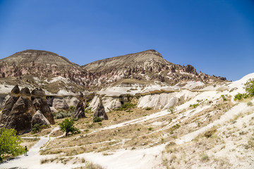 Cappadocia. Whimsical job of weathering the  Pashabag Valley