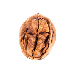 Cracked walnut.