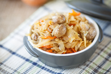 braised cabbage with mushrooms