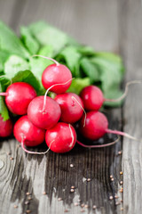Frische Radieschen auf Holz