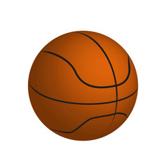 Fototapeta premium vector drawing of a basketball