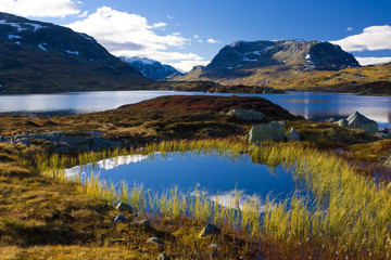 Fototapeta premium landscape of Southern Vestlandet, Norway