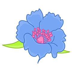 blue flower isolated illustration