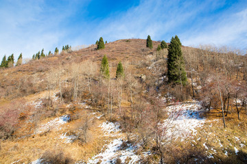 Nature near Ski resort, Tien Shan Mountains in Almaty
