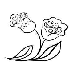 Sketch line drawing of flower isolated illustration