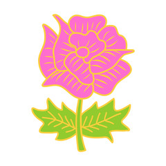 pink flower isolated illustration
