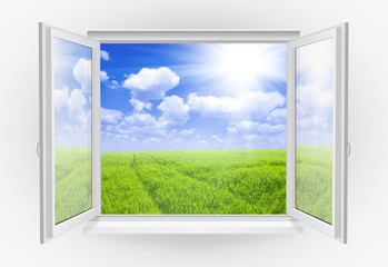 window © supplement