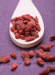 Chinese wolfberry(Lycium barbarum) on white background. goji 