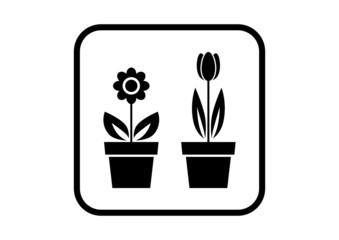 Flower vector icon on white background