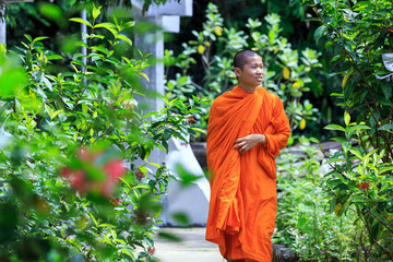 Young Buddhist Monk
