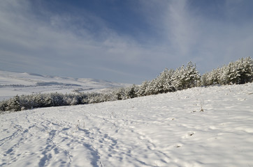 Winter tale in the fields of northern Bulgaria