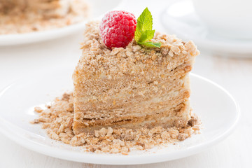 piece of cake with custard and raspberry, close-up