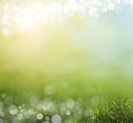 Fototapeta premium spring background