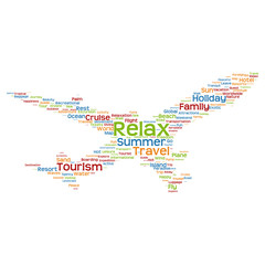 Fototapeta na wymiar Conceptual travel or tourism plane word cloud