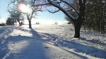 Obraz premium Wiener Winterwonderland