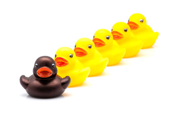 fila de patos de goma