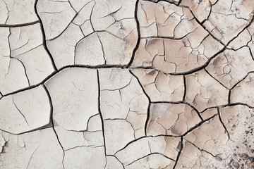 Dry Cracked Earth