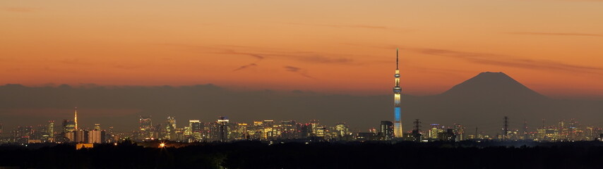 Fototapeta premium Tokyo city view with three Tokyo landmark