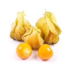 Set of Physalis heap isolated on white
