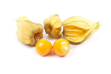 Set of Physalis heap isolated on white