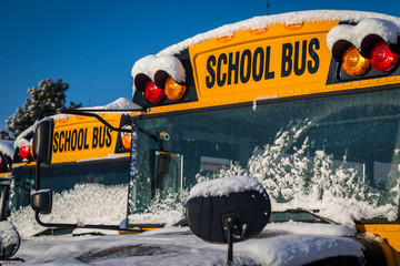 Winter School Buses